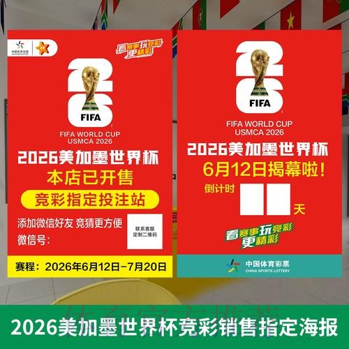 2026年世界杯投注指南与实用技巧